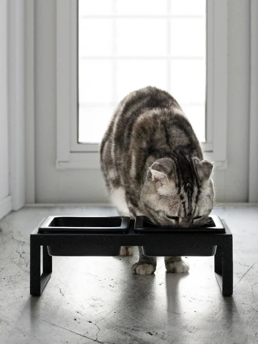 Ciotole Per Animali Con Supporto Tower