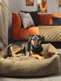 Cuccia Per Cani Tudor, Varie Misure