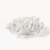 Oggetto Decorativo Di Design Coral