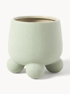 Portavaso Olea