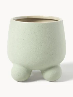 Portavaso Olea