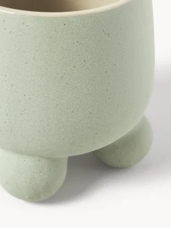 Portavaso Olea