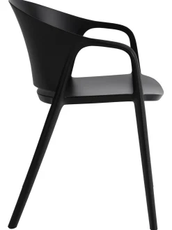 Sedia Con Braccioli In Plastica Monti 2 Pz