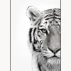 Stampa Digitale Incorniciata White Tiger