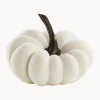 Zucca Decorativa Pepo