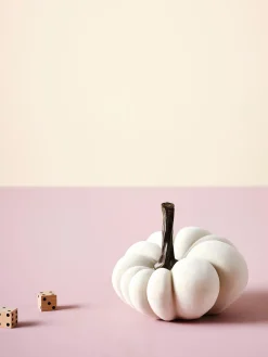 Zucca Decorativa Pepo