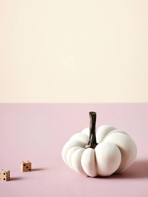 Zucca Decorativa Pepo