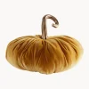 Zucca Decorativa Pumpis